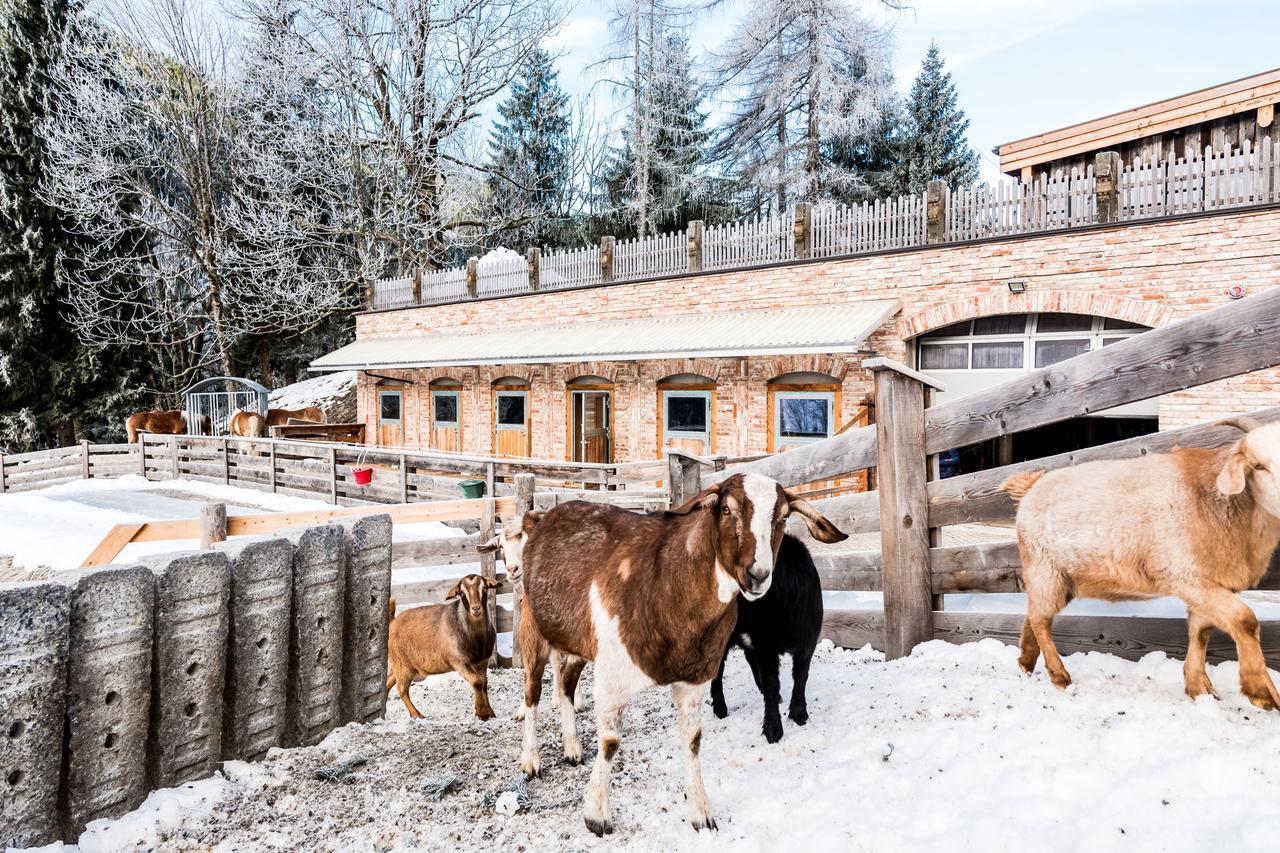 Peakini Farmhaus Villa Untertauern Luaran gambar