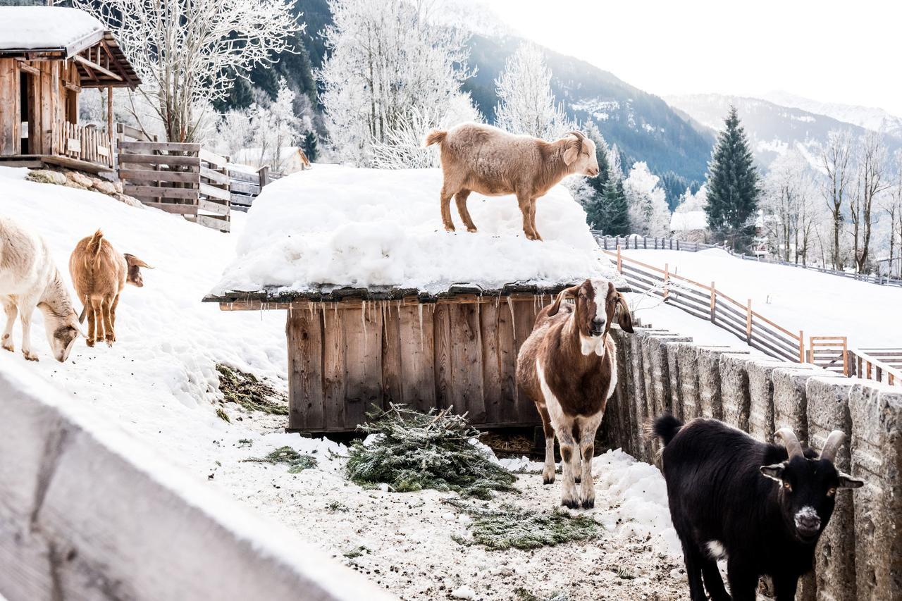 Peakini Farmhaus Villa Untertauern Luaran gambar